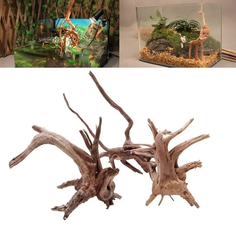 Aquarium Planted Substrate - Tronc d'Arbre Naturel en Bois Flotté