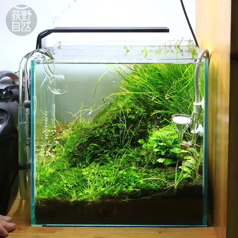 Planted Aquarium Pendant Light - Chihiros série C ADA Style plante