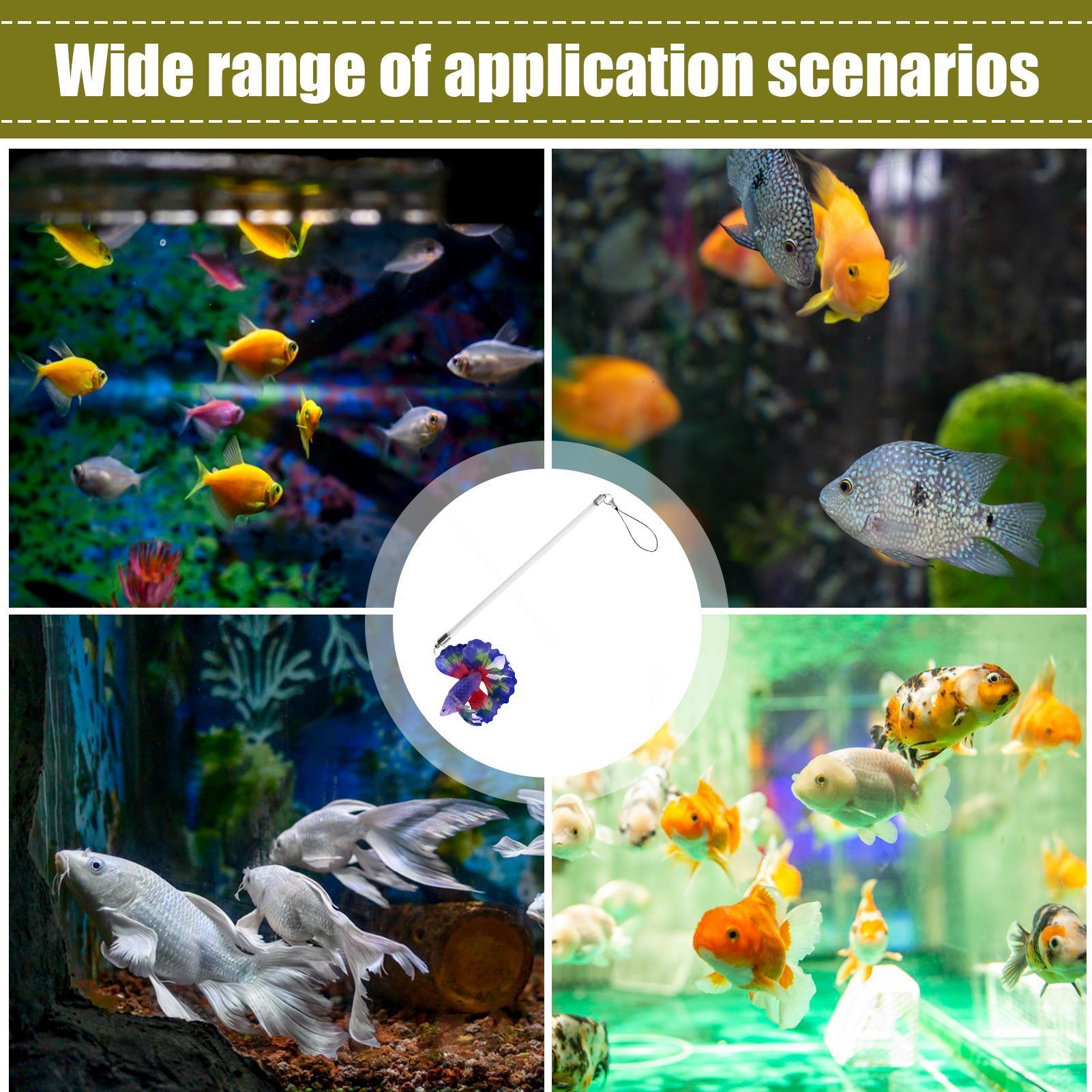Planted Aquarium For Beginners - Bâton d'entraînement pour poissons, jeu d'exercice