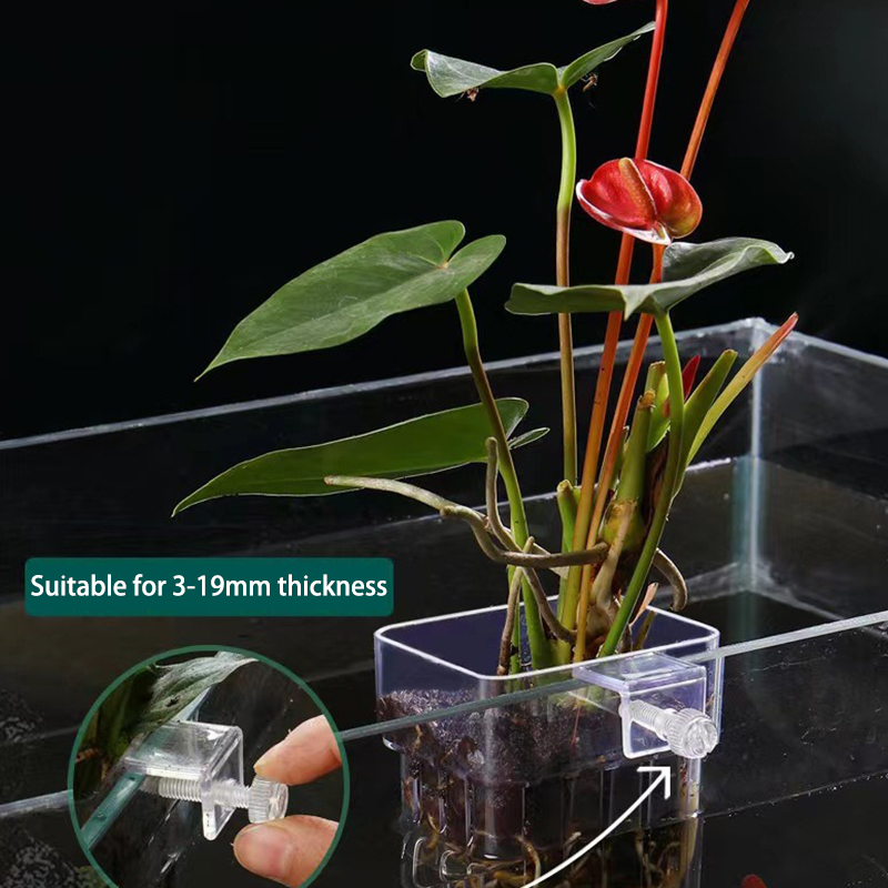 Planted Aquarium With Fish - Tasse de plantation d'eau d'aquarium de