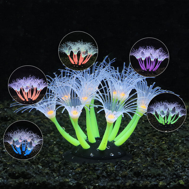 Décoration d'aquarium sous-mar - Aquarium Planted Substrate avis et prix