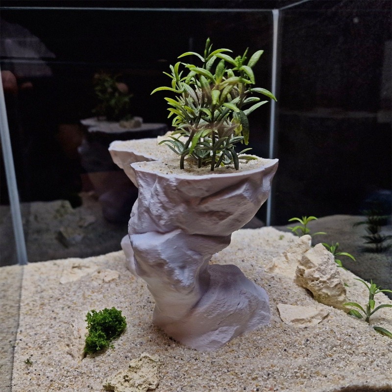 Panier de plantation 3D imprim - Aquarium Planted Tank Soil avis et prix