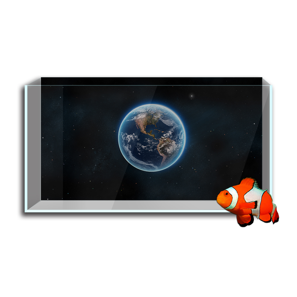 Autocollant de fond d'aquarium - Aquarium Planet avis et prix