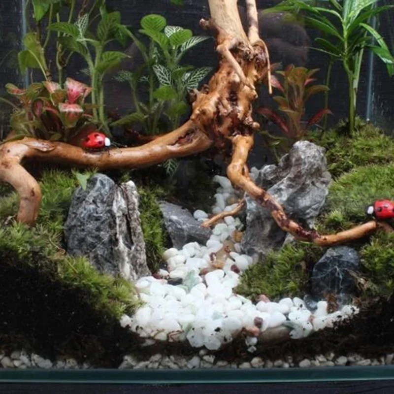 Tronc d'Arbre Naturel en Bois  - Aquarium Planted Substrate avis et prix