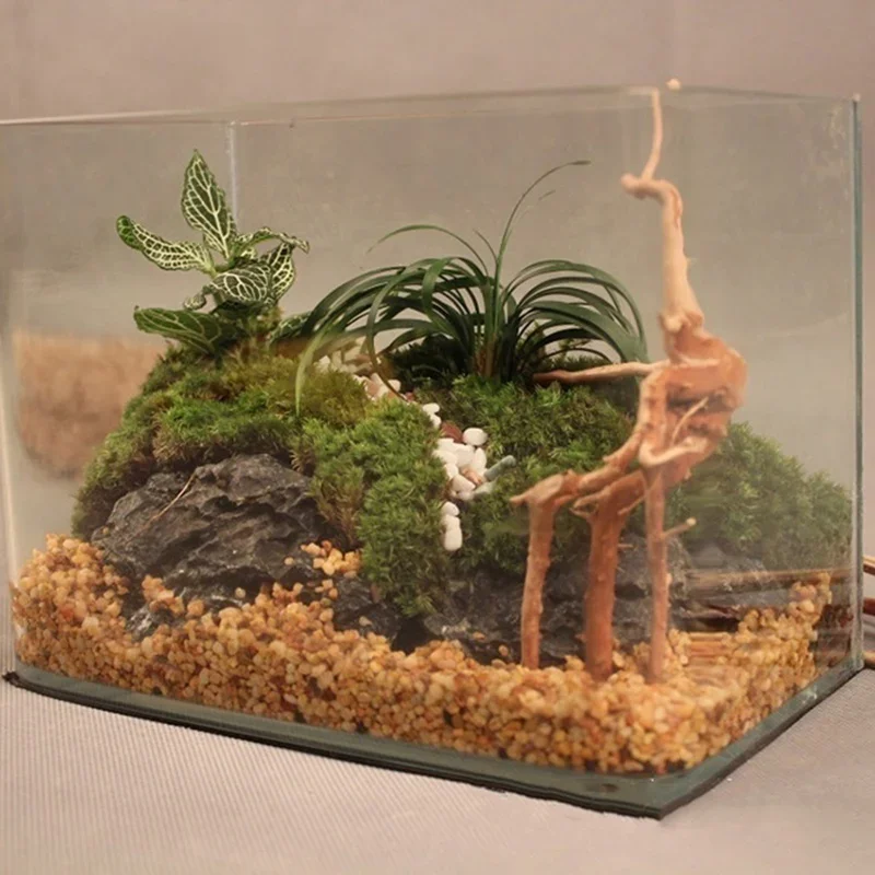 Tronc d'Arbre Naturel en Bois  - Aquarium Planted Substrate avis et prix