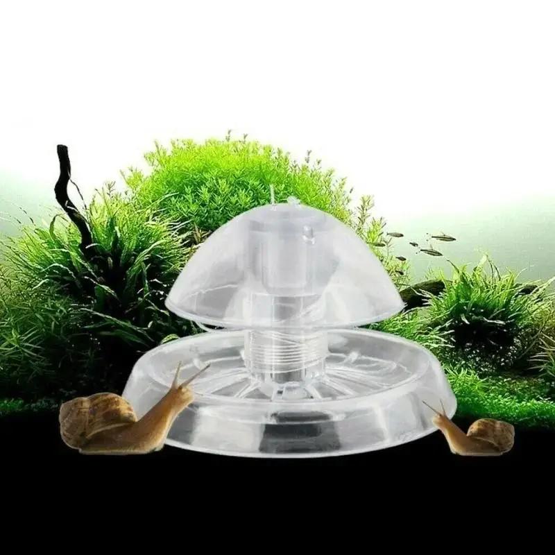 Nouvelle boîte piège à escargo - Planted Aquarium With Fish avis et prix