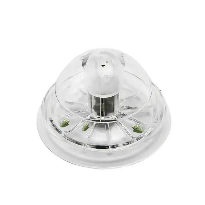 Nouvelle boîte piège à escargo - Planted Aquarium With Fish avis et prix