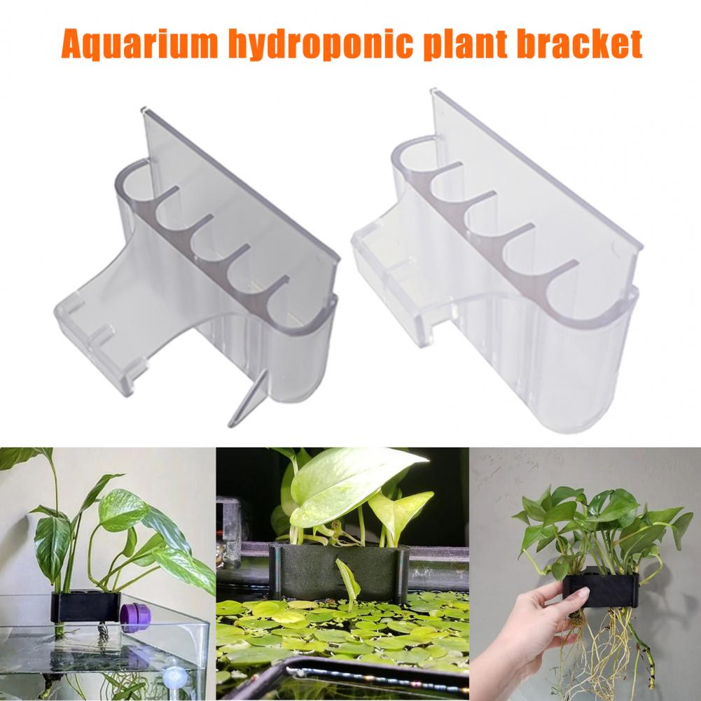 4.5/6.5cm porte-plante d'aquar - Planted Aquarium With Fish avis et prix