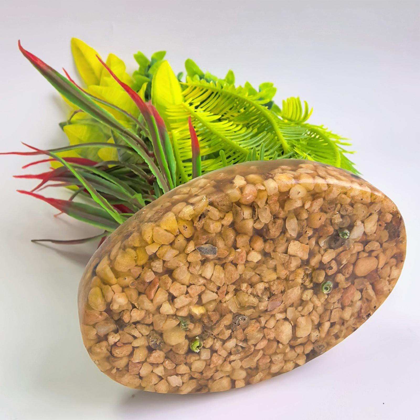 Plantes artificielles pour aqu - Planted Aquarium For Beginners avis et prix