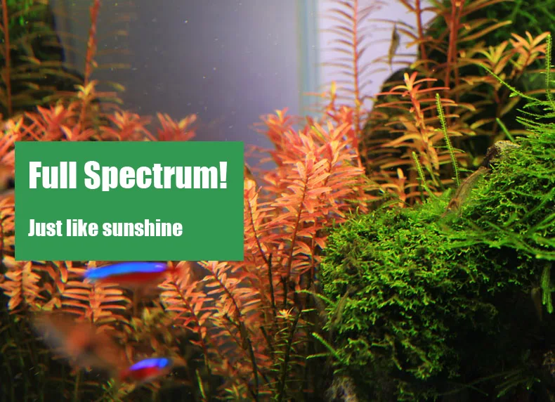 Chihiros série C ADA Style pla - Planted Aquarium Pendant Light avis et prix