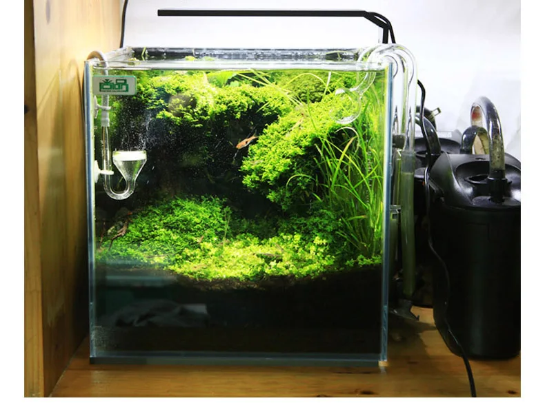 Chihiros série C ADA Style pla - Planted Aquarium Pendant Light avis et prix