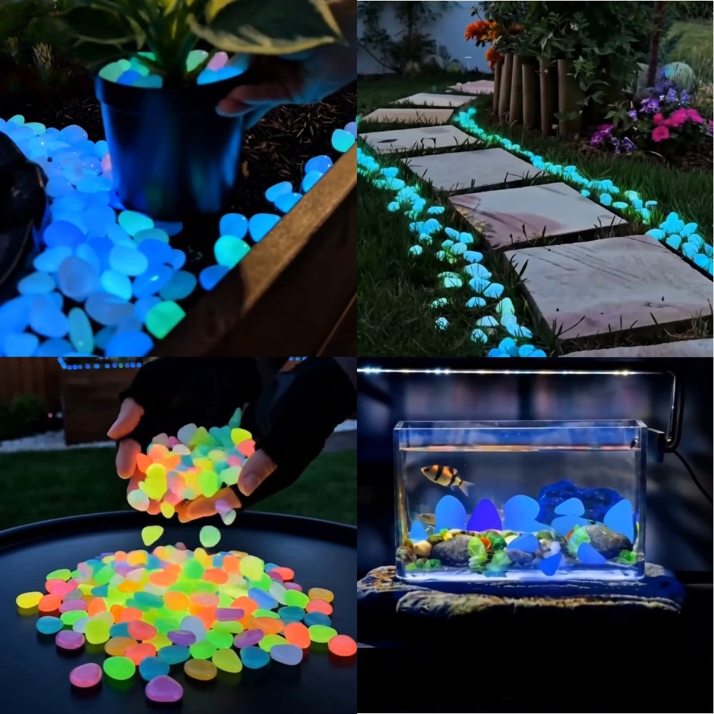 Galets lumineux colorés qui br - Planted Aquarium With Fish avis et prix