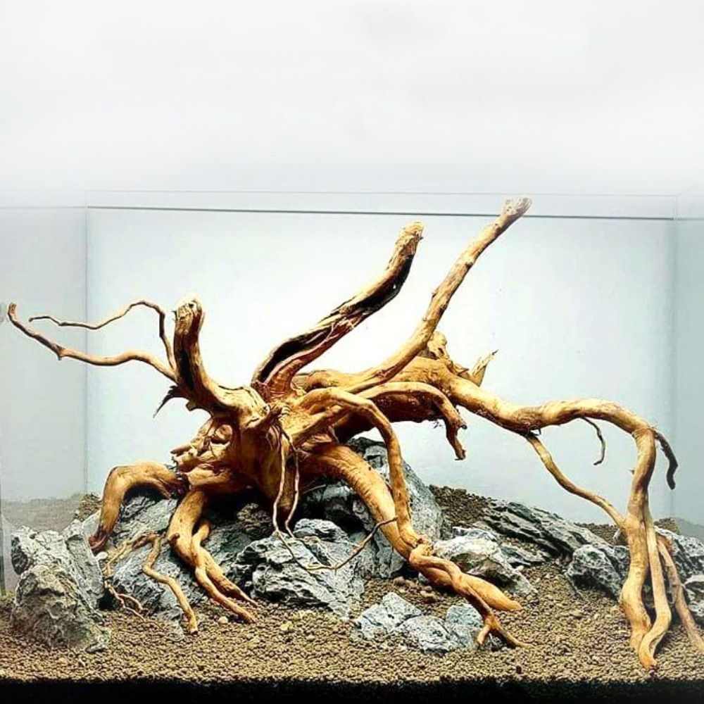 Tronc d'arbre naturel pour déc - Aquarium Planted Substrate avis et prix