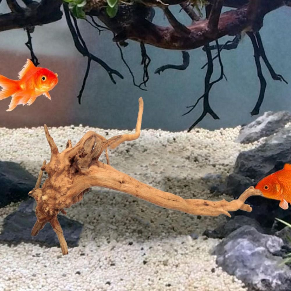 Tronc d'arbre naturel pour déc - Aquarium Planted Substrate avis et prix