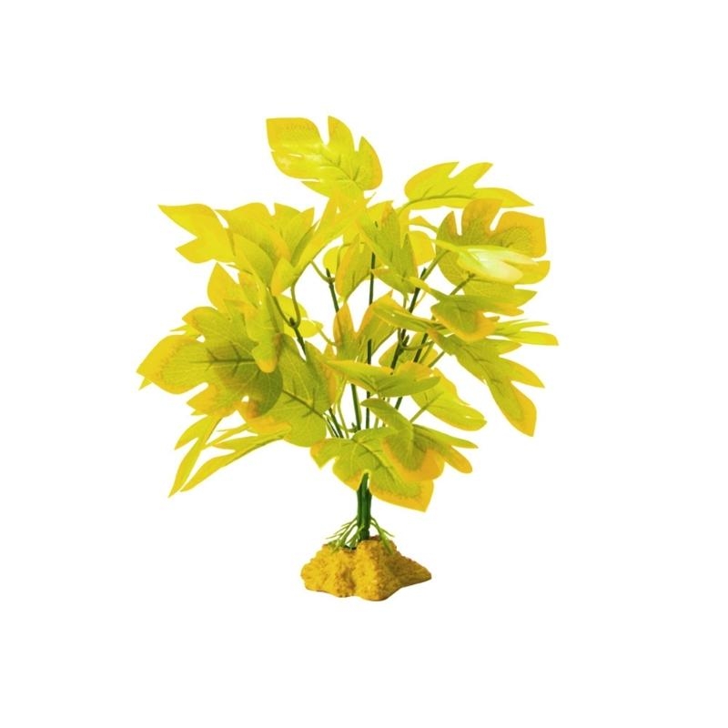 Décoration poisson plante susp - Planted Aquarium With Fish avis et prix