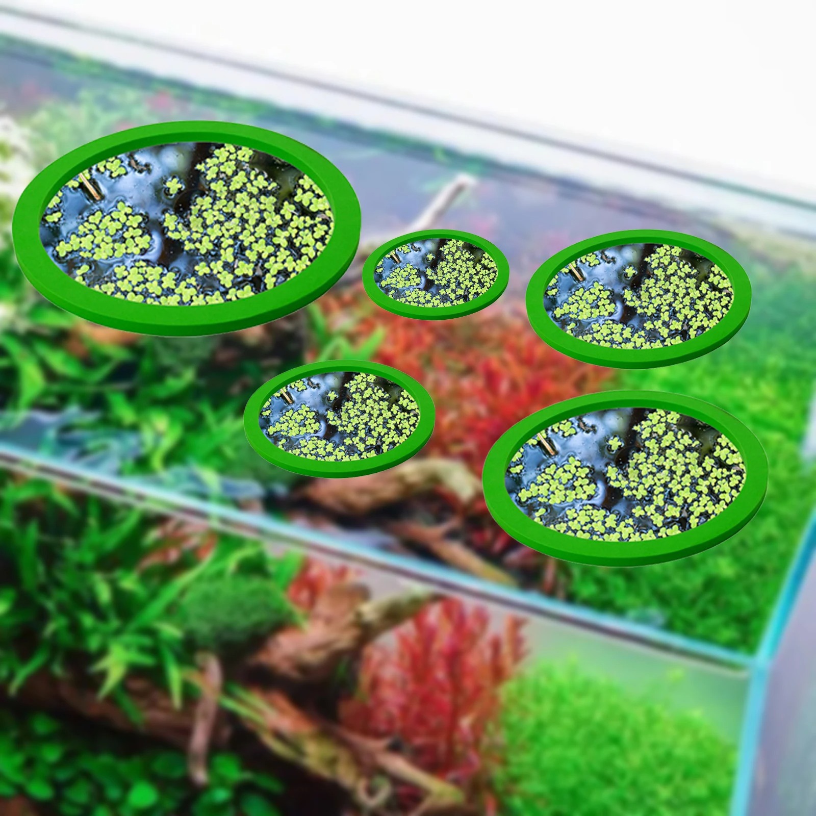 Anneaux d'Alimentation pour Aq - Planted Aquarium With Fish avis et prix