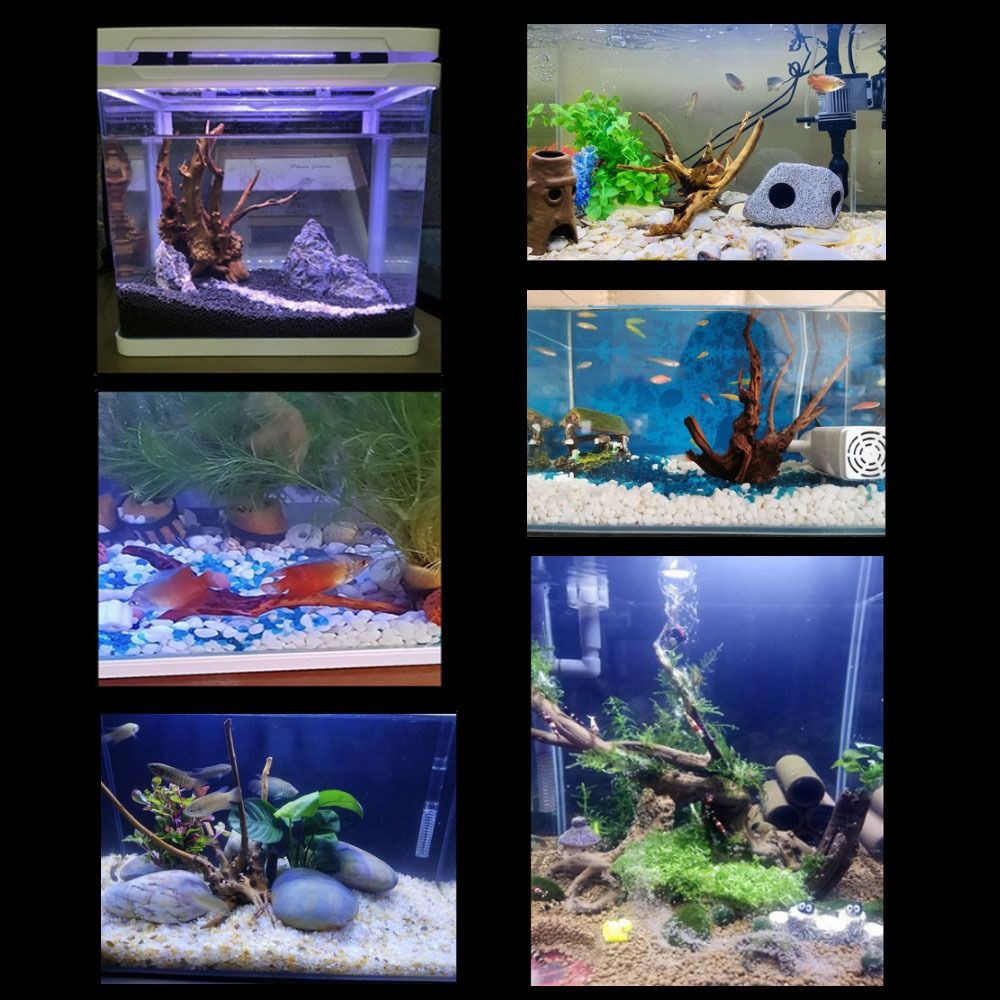 Bois flotté naturel de 20-25 c - Aquarium Planted Substrate avis et prix