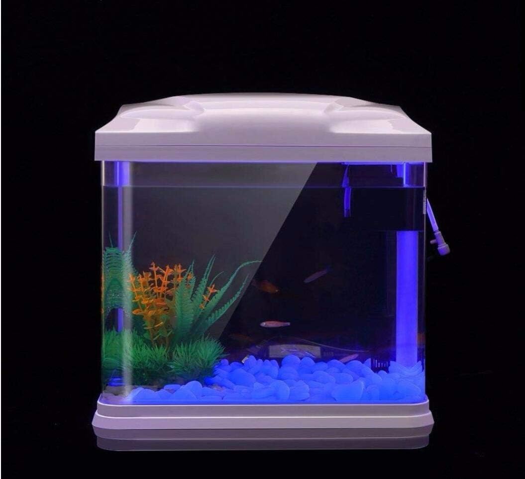 Roches d'aquarium scintillante - Planted Aquarium With Fish avis et prix