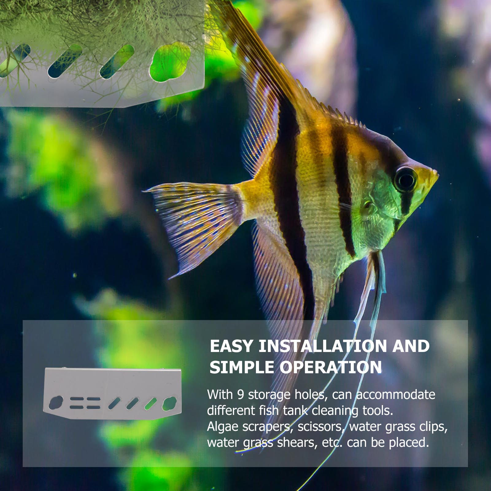 1 pièce Support d'organisation - Planted Aquarium With Fish avis et prix