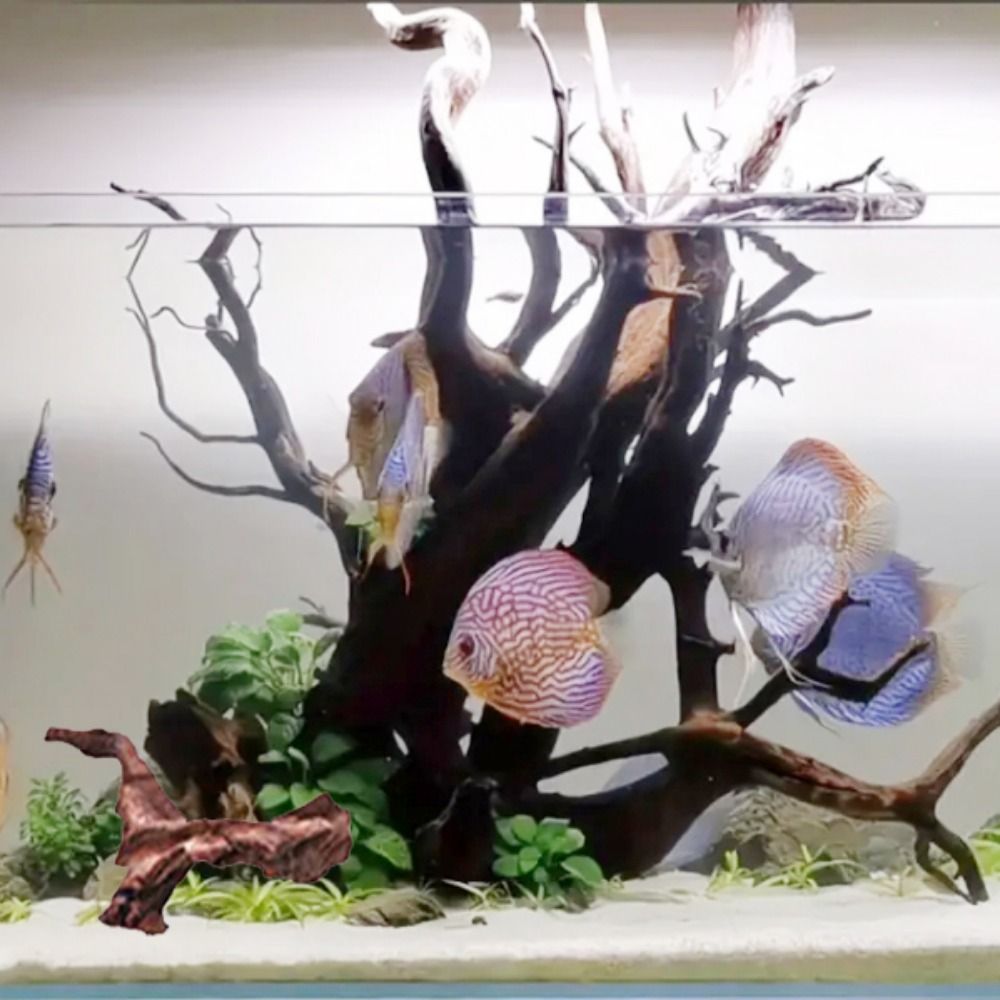 Tronc de bois flotté naturel e - Aquarium Planted Substrate avis et prix