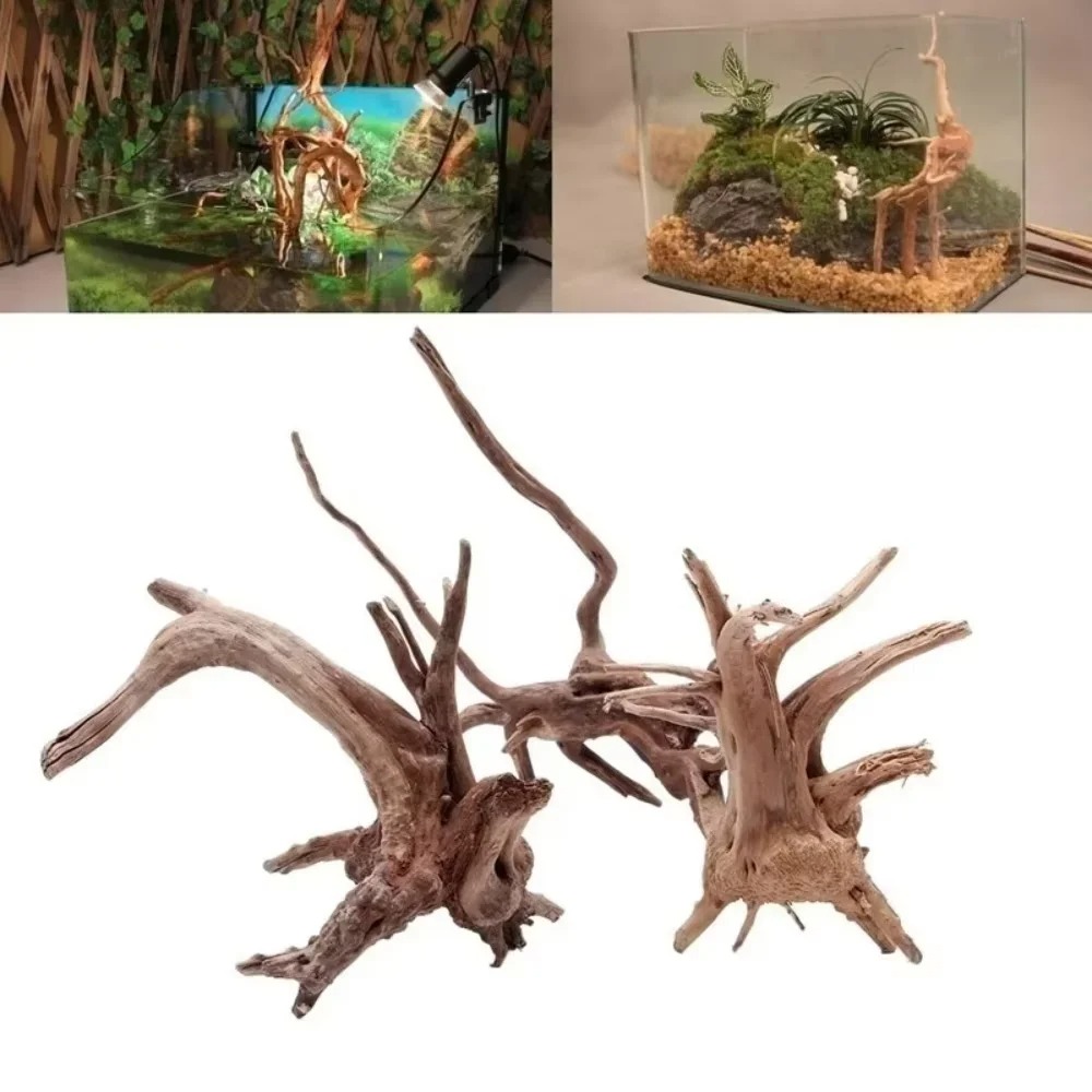 (15-20cm) Décoration d'aquariu - Aquarium Planted Substrate avis et prix
