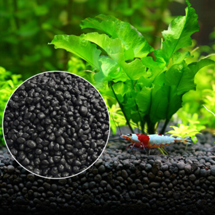 Sol de graines de plantes d'aq - Planted Aquarium With Fish avis et prix