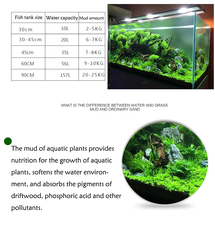 Sol de graines de plantes d'aq - Planted Aquarium With Fish avis et prix
