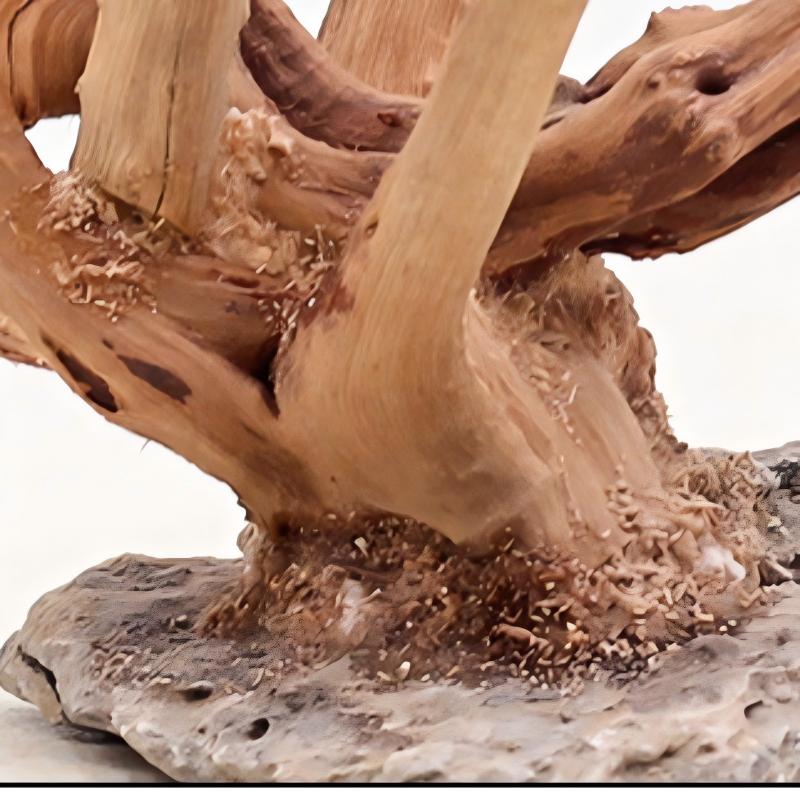 Ornements en bois pour aménage - Aquarium Planted Substrate avis et prix