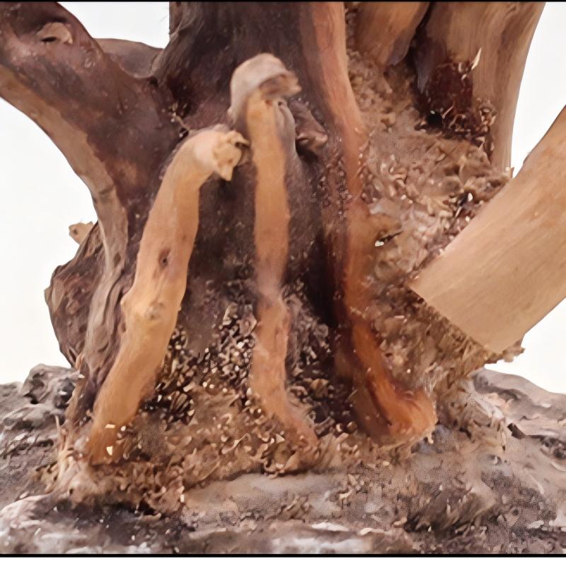 Ornements en bois pour aménage - Aquarium Planted Substrate avis et prix
