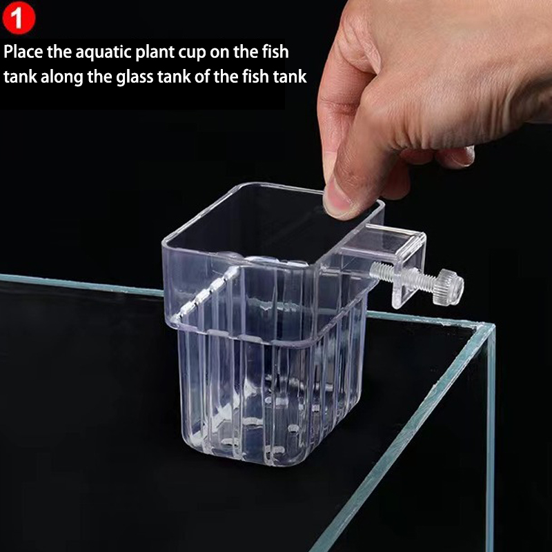 Tasse de plantation d'eau d'aq - Planted Aquarium With Fish avis et prix