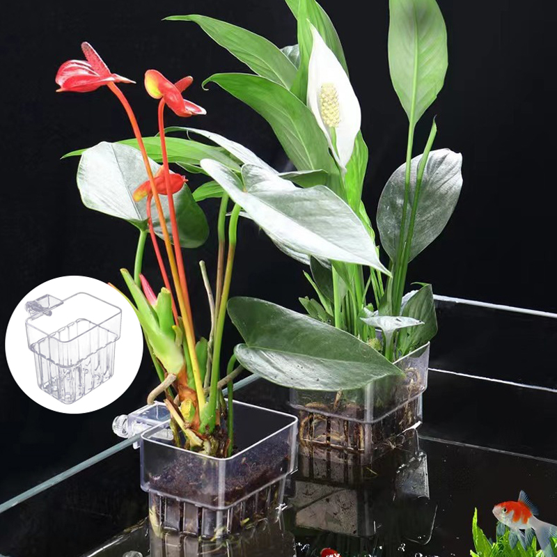 Tasse de plantation d'eau d'aq - Planted Aquarium With Fish avis et prix