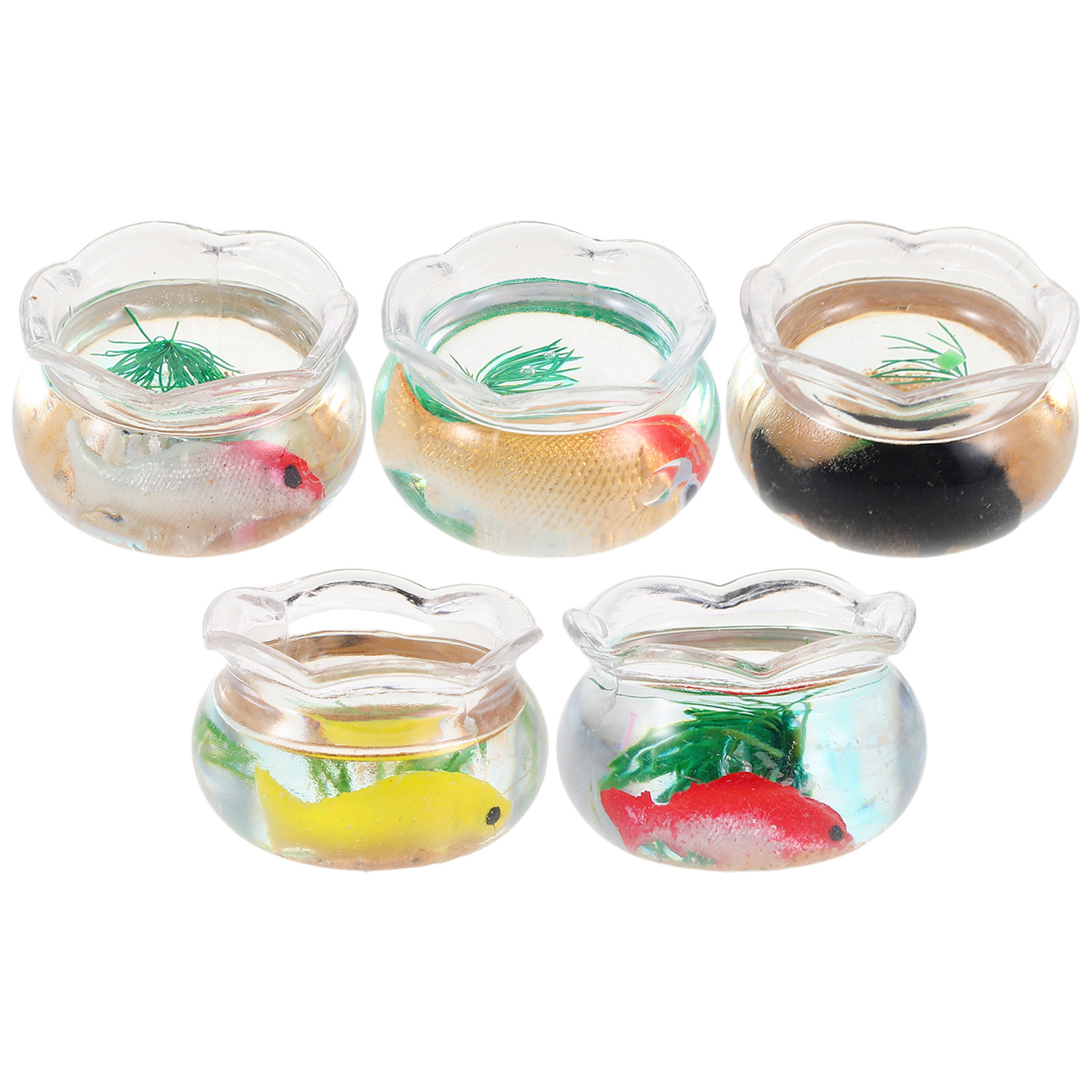 5 pièces de mini aquariums ron - Planted Aquarium With Fish avis et prix